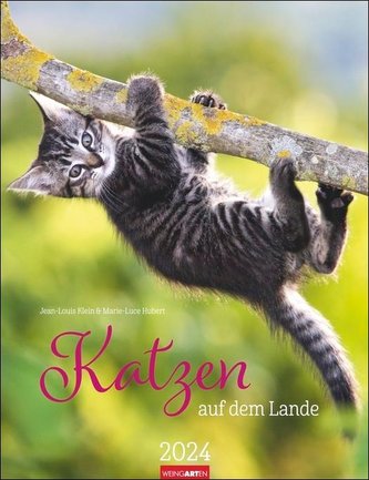 Katzen auf dem Lande Kalender 2024