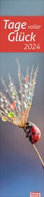 times&more Tage voller Glück Langplaner 2024