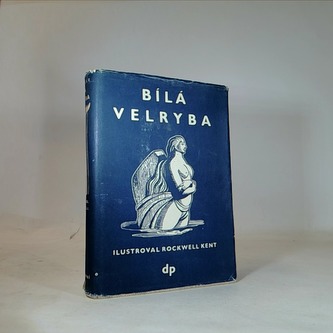 Bílá velryba