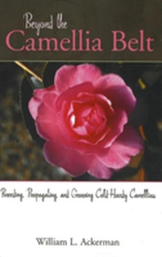 Beyond the Camellia Belt
