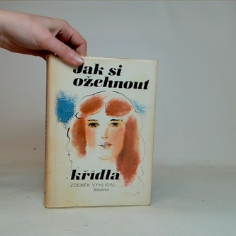 Jak si ožehnout křídla