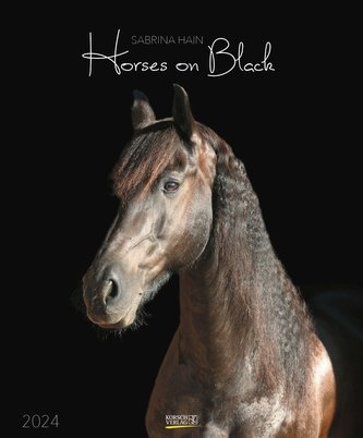Horses on Black 2024