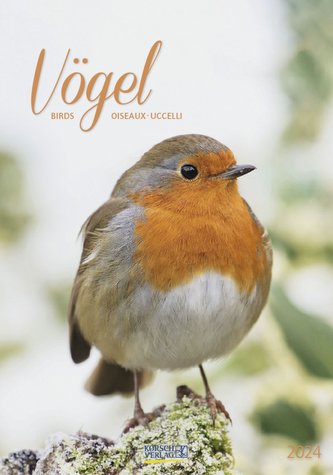 Vögel 2024