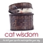 Cat Wisdom