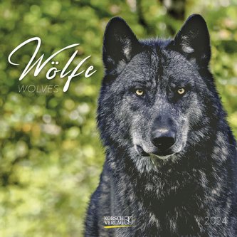Wölfe 2024