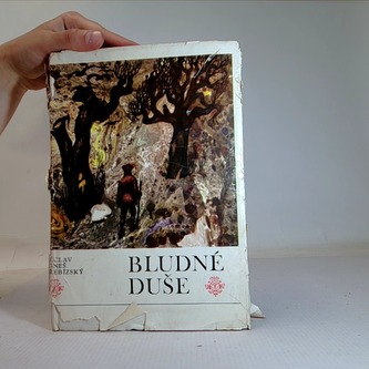 Bludné duše