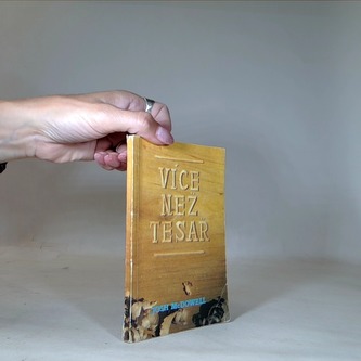 Více než tesař