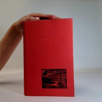 Dobrodružství Toma Sawyera, Dobrodruždtví Huckleberryho Finny