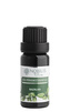 Éterický olej Bazalka: 10 ml