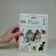 Ptáci: Jak pozorovat a poznávat kouzelný svět ptáků