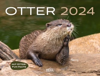 Otter Eintragkalender 2024
