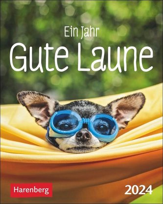 Ein Jahr gute Laune Mini-Geschenkkalender 2024