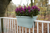 Truhlík Corsica Flower Bridge - mint 60 cm