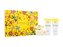 Versace Yellow Diamond toaletní voda 90 ml + toaletní voda 5 ml + sprchový gel 100 ml + tělové mléko 100 ml