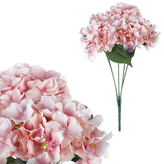 Hortenzie, puget 5 hlav, barva růžová.