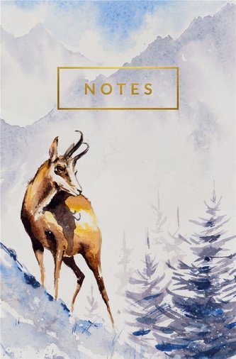 Notes Hory