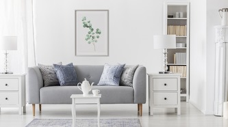 Obraz v rámu Jemné Listy Eukalyptu různé rozměry hliníkový rám stříbrná