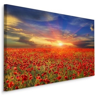 Plátno Západ Slunce Nad Polem Máků 3D