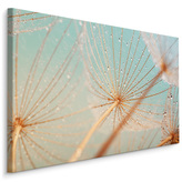 Plátno Vodní Kapky