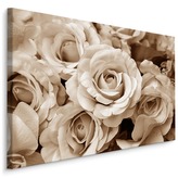 Plátno Vintage Okvětní Lístky Růží