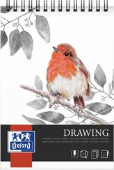 Blok artystyczny rysunkowy A3/30K 160g spirala