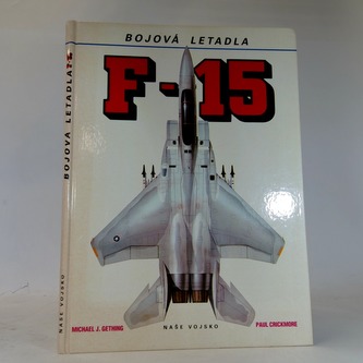 Bojová letadla (F-15)