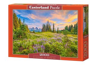 Puzzle 2000 Blossoms of Morning Puzzle 2000 Blossoms of Morning