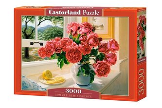 Puzzle 3000 Summer Reminiscence Puzzle 3000 Summer Reminiscence