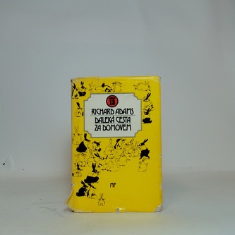 Daleká cesta za domovem