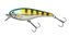 Beast Hi-Lo FL 9cm Striped Ayu