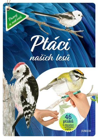 Ptáci našich lesů Ptáci našich lesů