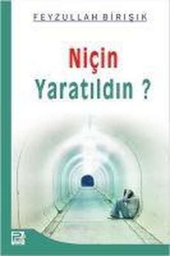 Nicin Yaratildin