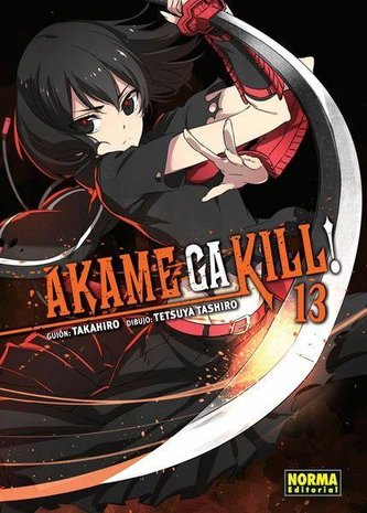 Akame ga kill! 13