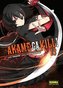 Akame ga kill! 13