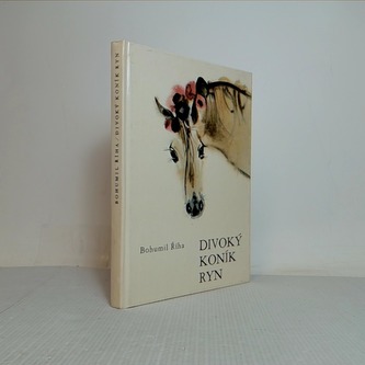 Divoký koník Ryn