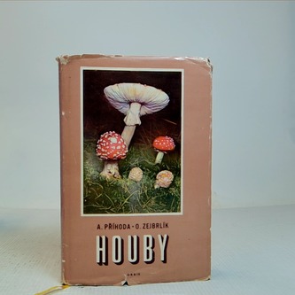 Houby