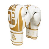 Boxerské rukavice DBX BUSHIDO DBD-B-2 v1 vel.12 oz