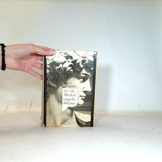 Deník Michelangela blázna