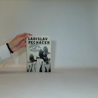 Dobří holubi se vracejí