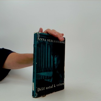 Déšť ustal k večeru