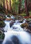Wald und Holz 2024
