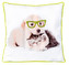 Polštář DIAMONDS PETS - CHLAPEC S BRÝLEMI 40x40cm ESSEX