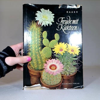 Freude mit Kakteen