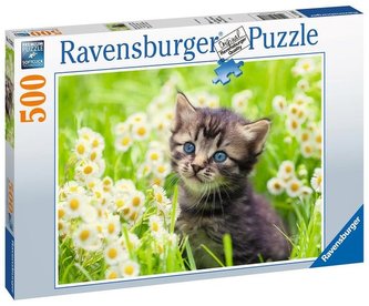 Ravensburger Puzzle - Kotě na louce 500 dílků