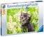 Ravensburger Puzzle - Kotě na louce 500 dílků