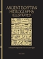 Ancient Egyptian Hieroglyphs Illustrated