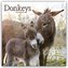 Donkeys - Esel 2024 - 16-Monatskalender