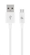 GEMBIRD Kabel CABLEXPERT USB 2.0 AM na Type-C kabel (AM/CM), 2m, bílý