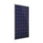 Solarmi solární panel Amerisolar Poly 285Wp 60 článků (MPPT 32V)