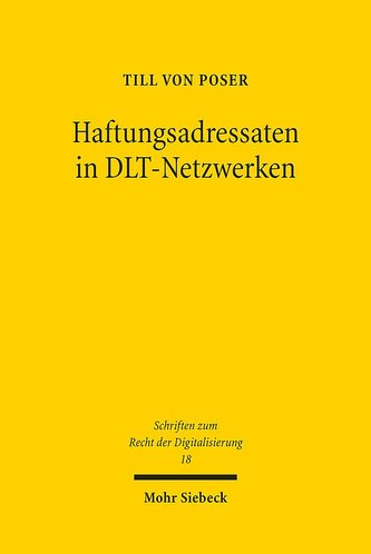 Haftungsadressaten in DLT-Netzwerken